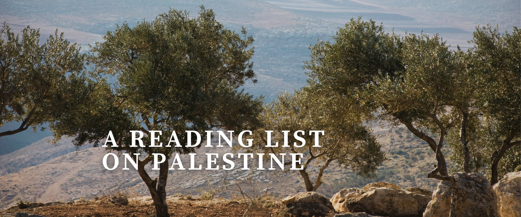 Reading List on Palestine