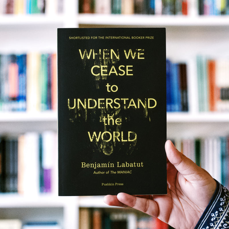 When We Cease to Understand the World