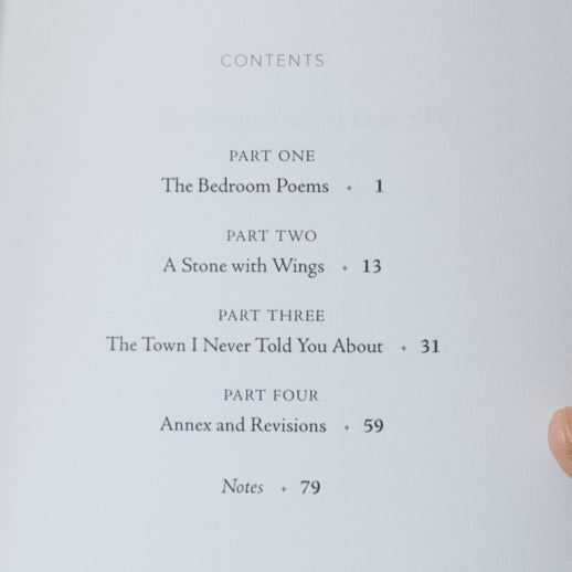 The Town I Never Told You About: Poems, 2022-2024
