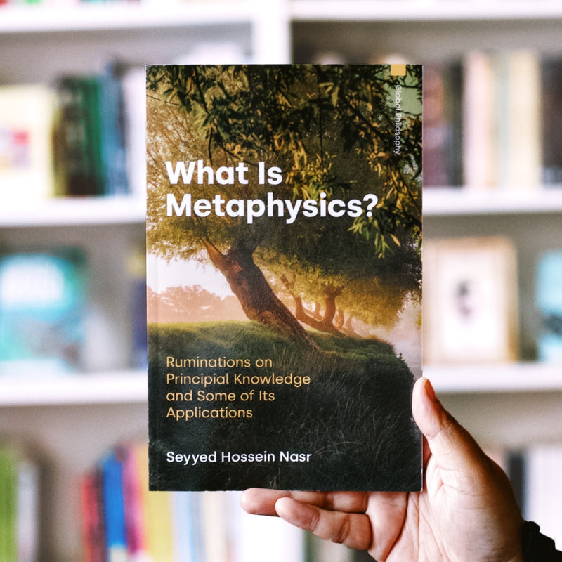 What Is Metaphysics?