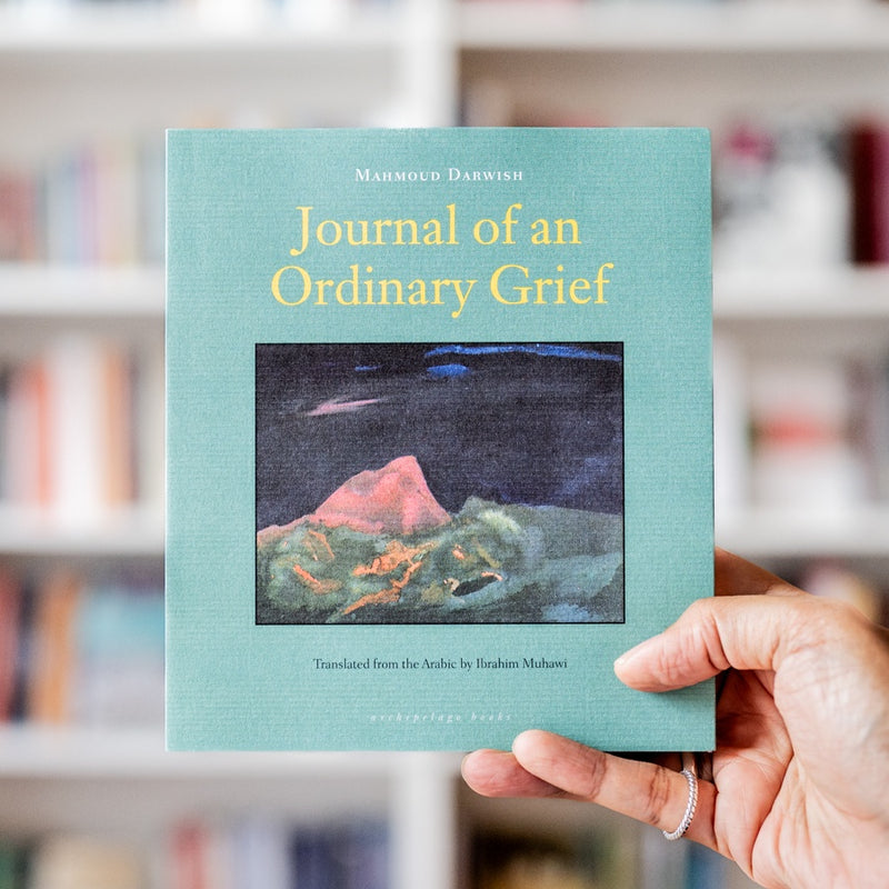 Journal of an Ordinary Grief