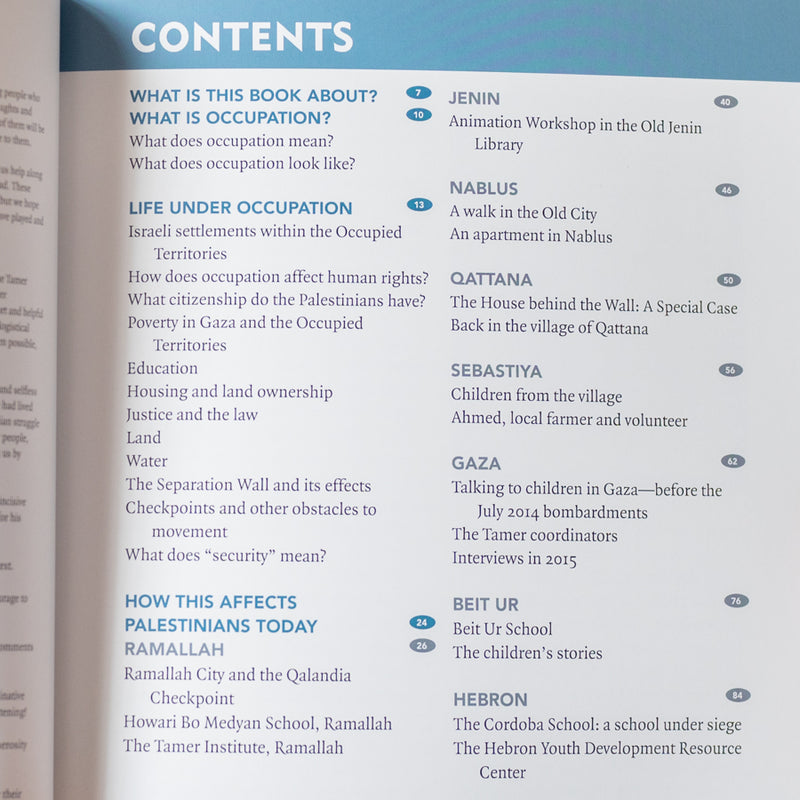 Young Palestinians Speak: Living Under Occupation