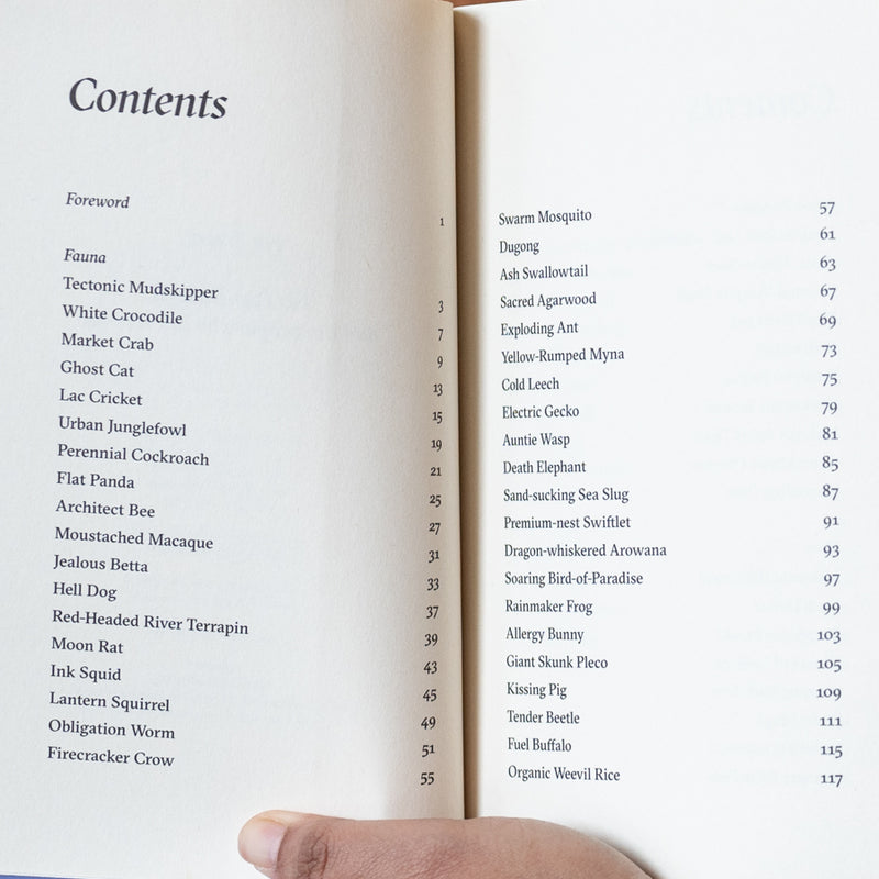 Creatures of Near Kingdoms