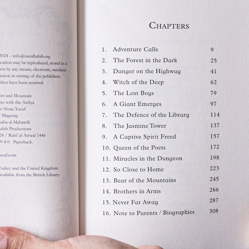 Over Mist and Mountain: Adventures with the Awliya 3