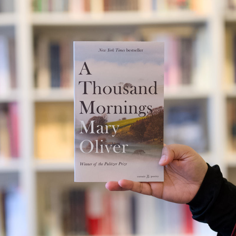 A Thousand Mornings