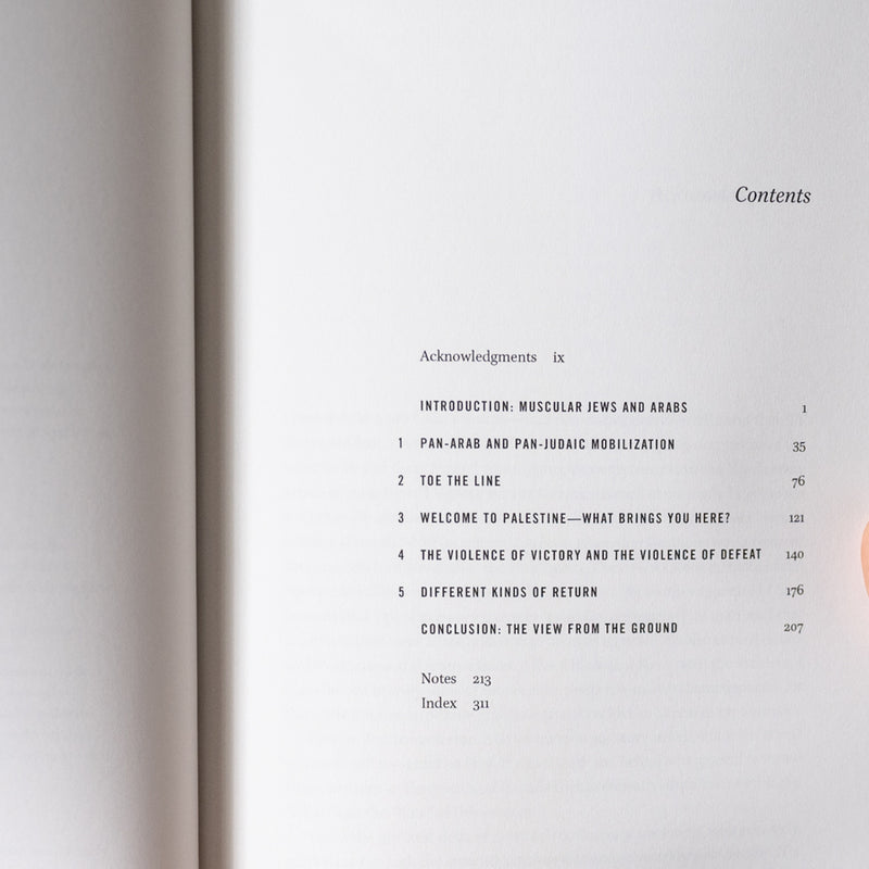 Dear Palestine: A Social History of the 1948 War