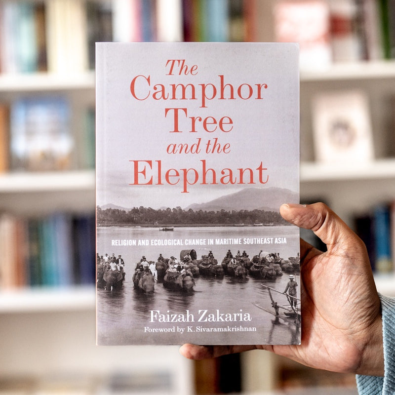 The Camphor Tree and the Elephant