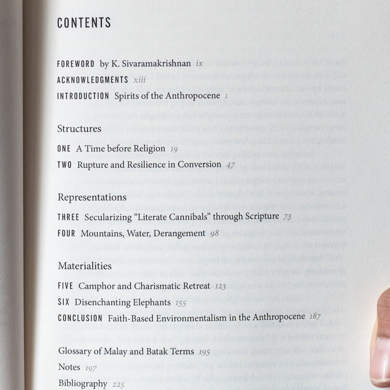 The Camphor Tree and the Elephant