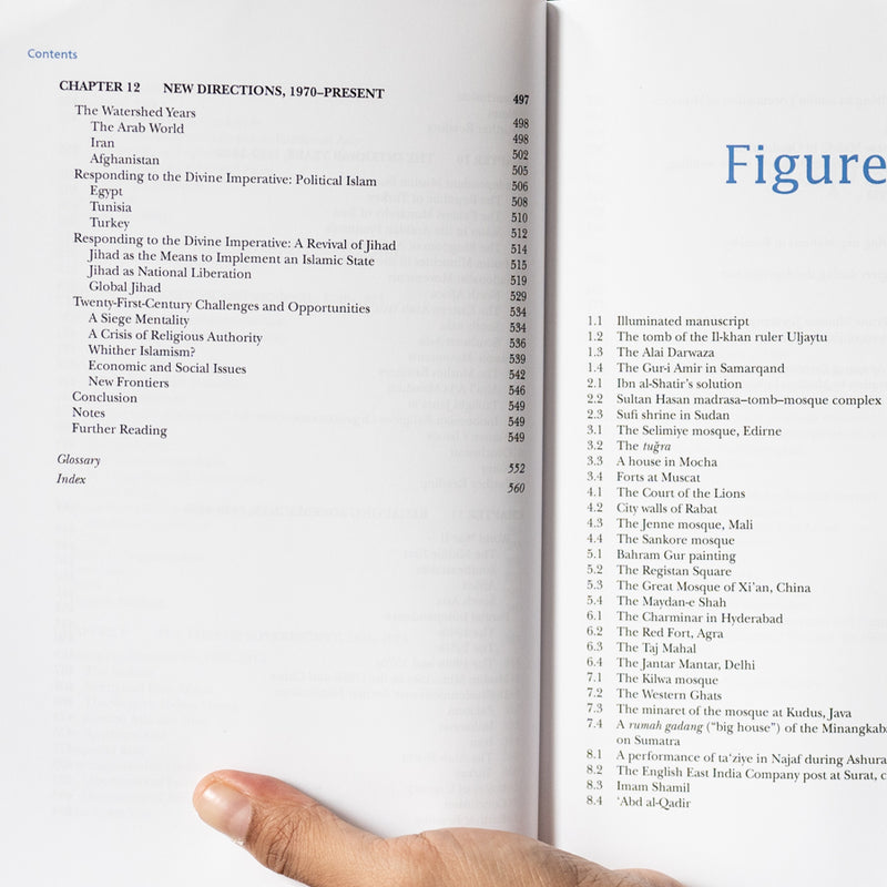 A History of the Muslim World since 1260