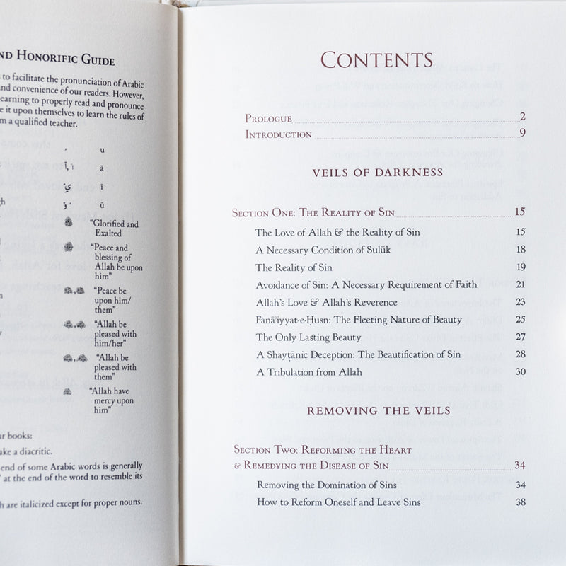 Veils of Darkness, Rays of Light