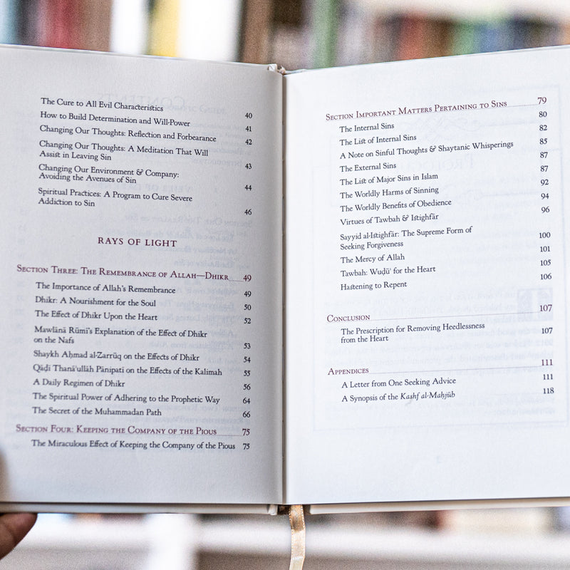 Veils of Darkness, Rays of Light