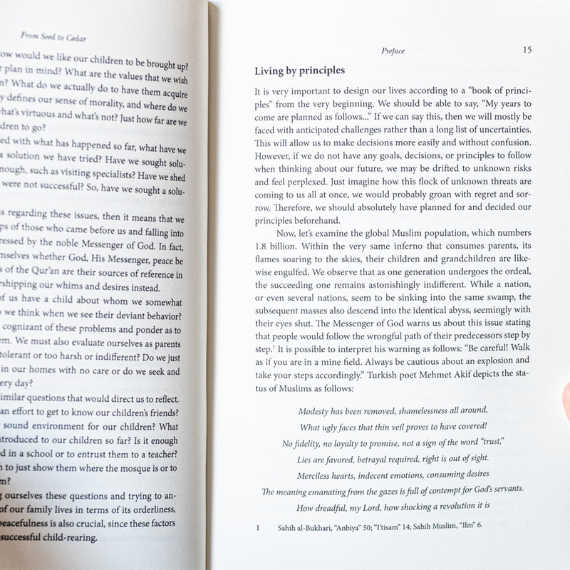 From Seed to Cedar: Nurturing the Spiritual Needs in Children