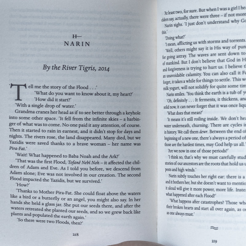 There are Rivers in the Sky