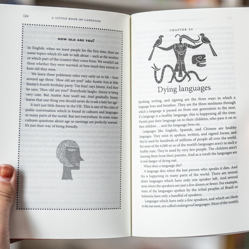 A Little Book of Language