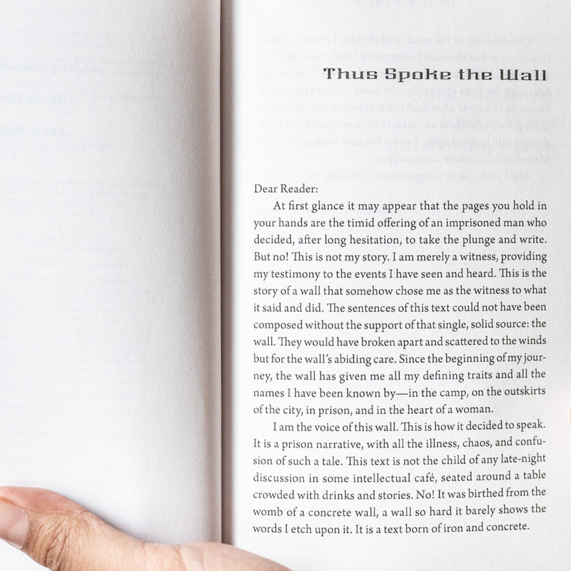 The Tale of a Wall: Reflections on Hope and Freedom PB