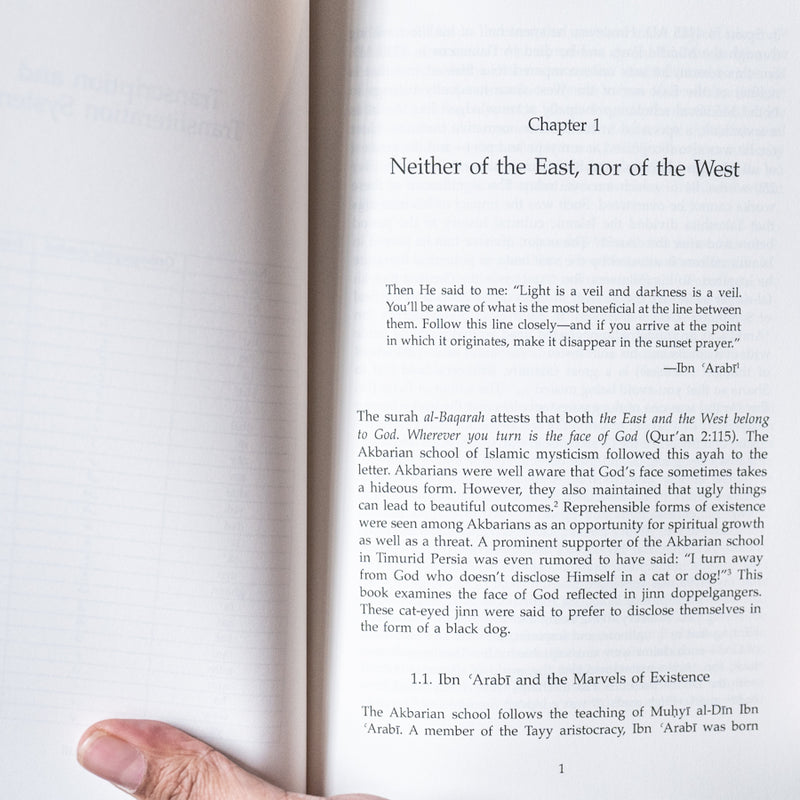 Bedeviled: Jinn Doppelgangers in Islam and Akbarian Sufism PB