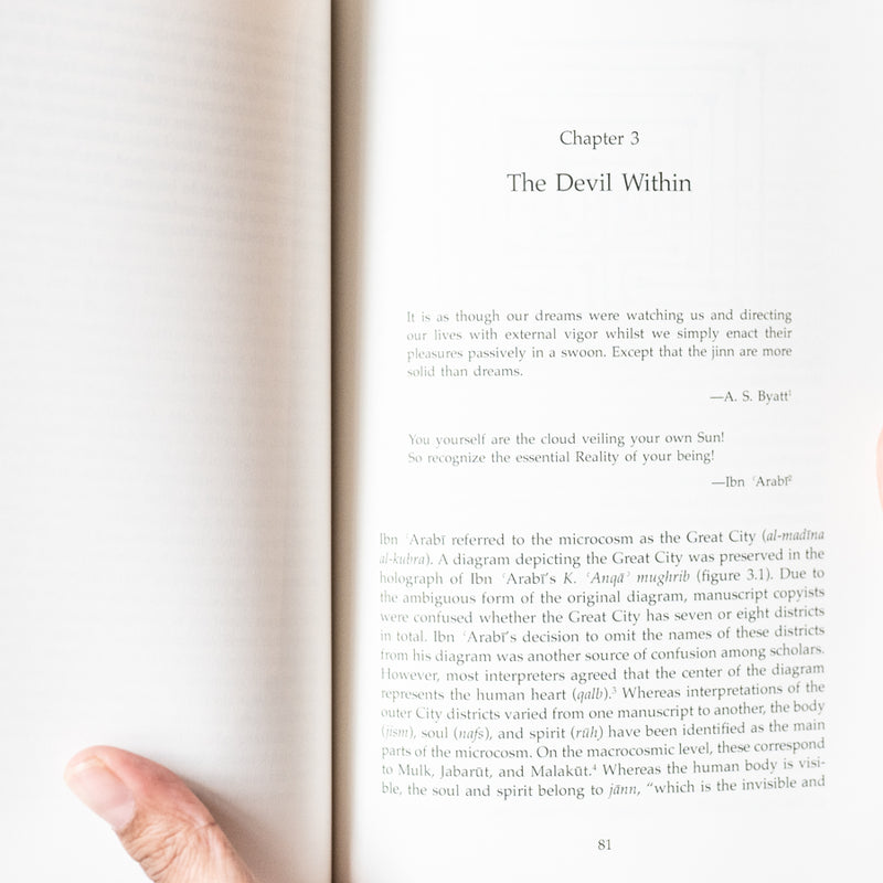 Bedeviled: Jinn Doppelgangers in Islam and Akbarian Sufism PB