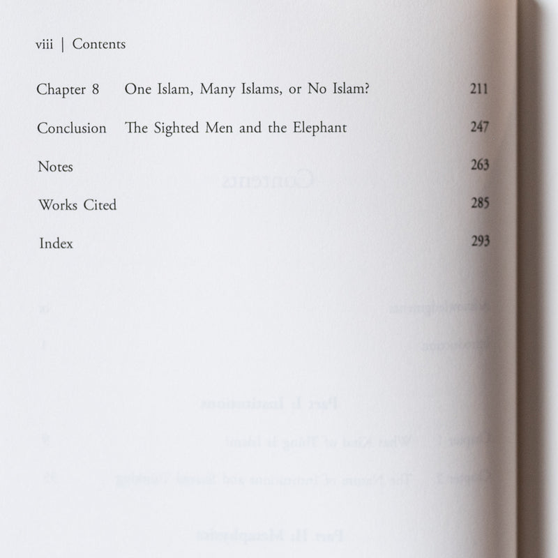 Metaphysical Institutions: Islam and the Modern Project