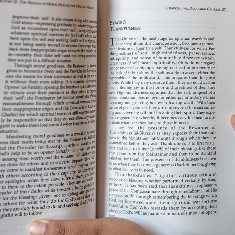 Moral Healing Through the Most Beautiful Names - The Practice of Spiritual Chivalry