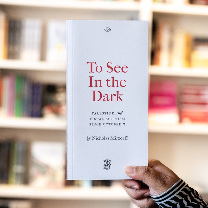 To See In the Dark: Palestine and Visual Activism Since October 7