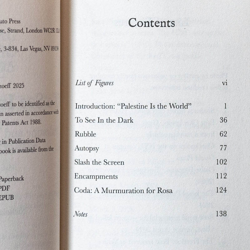 To See In the Dark: Palestine and Visual Activism Since October 7