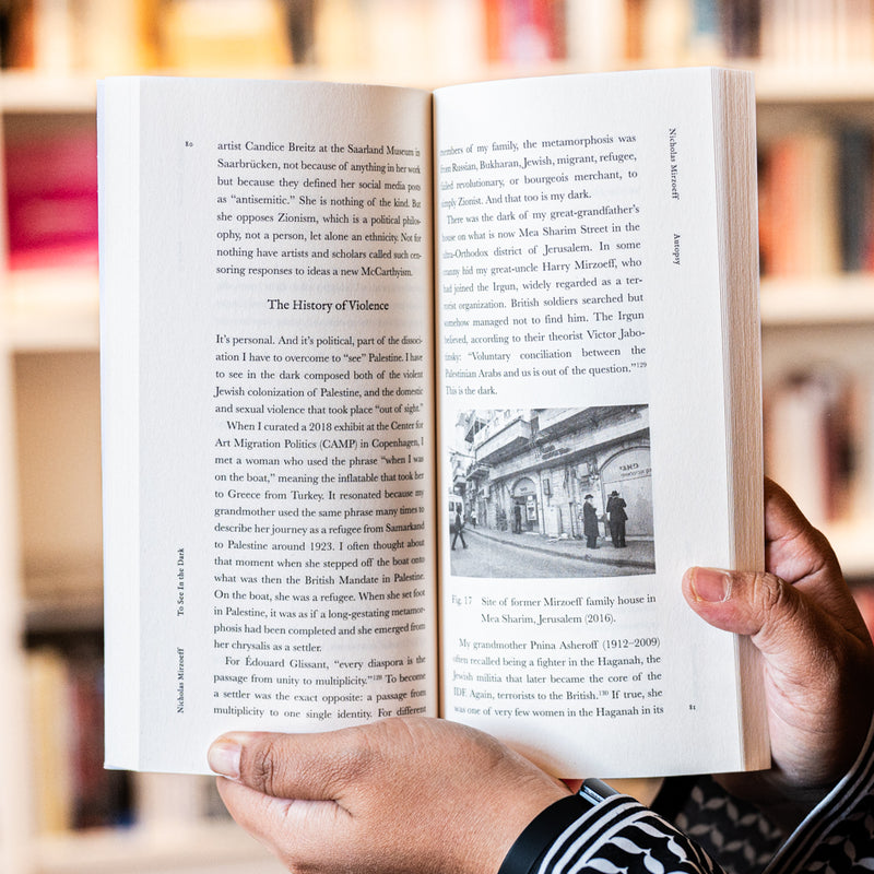 To See In the Dark: Palestine and Visual Activism Since October 7