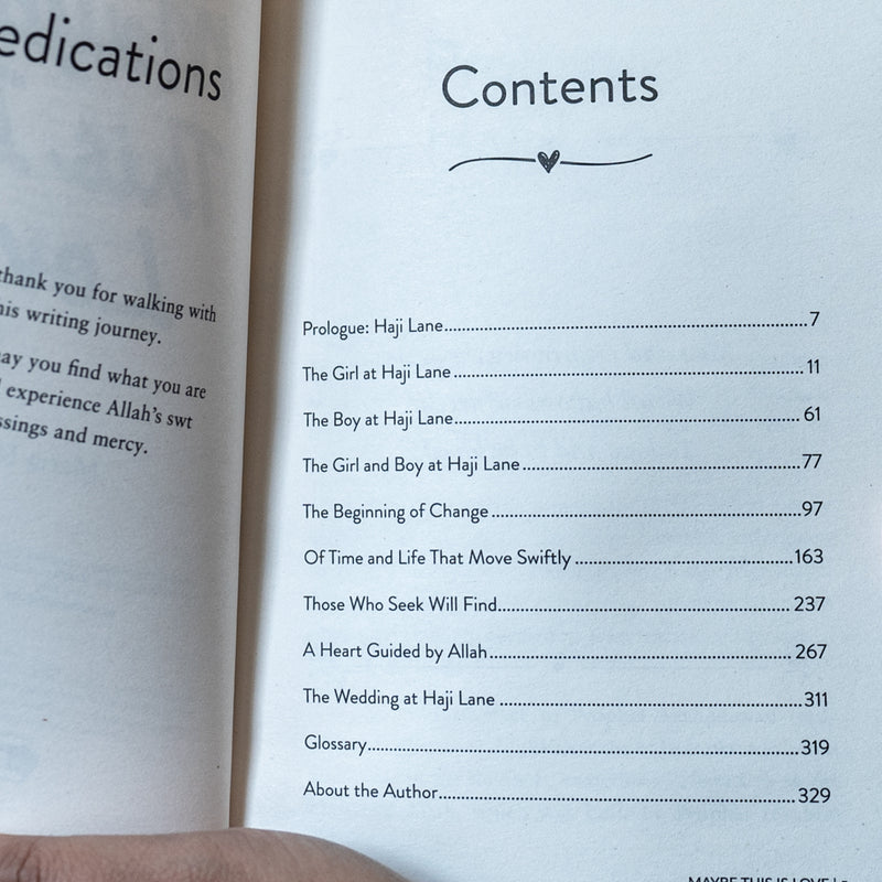 Maybe This Is Love: A Novel