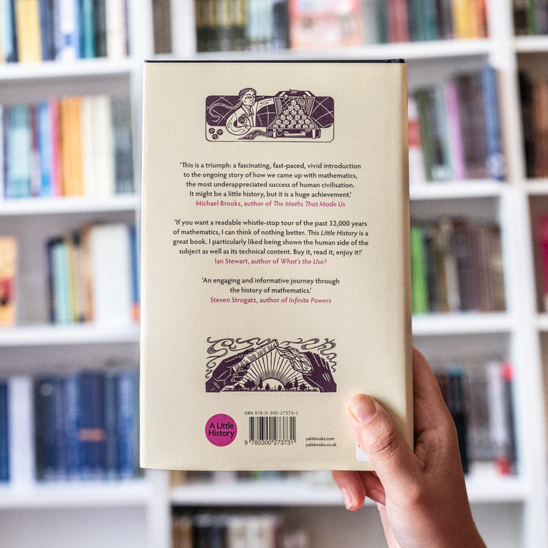 A Little History of Mathematics