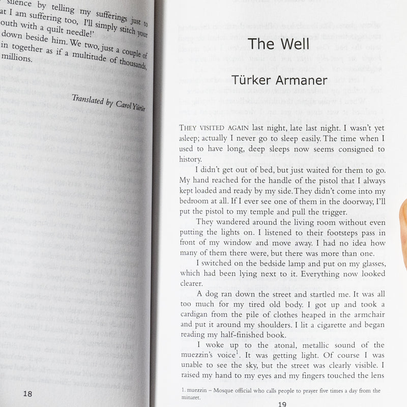 Book of Istanbul: A City in Short Fiction