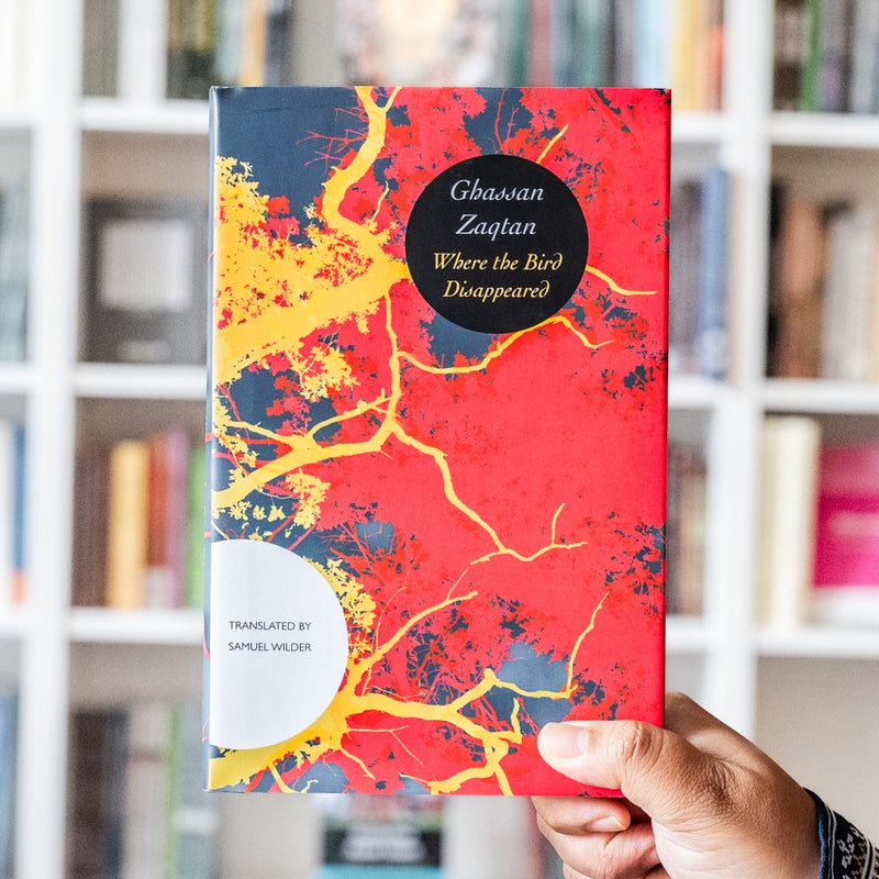 Where the Bird Disappeared