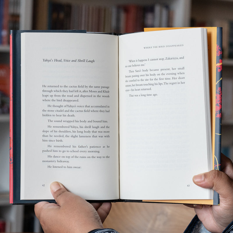 Where the Bird Disappeared