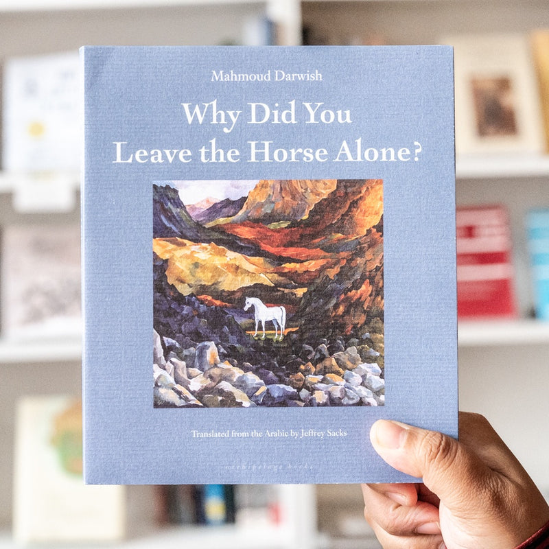 Why Did You Leave the Horse Alone?