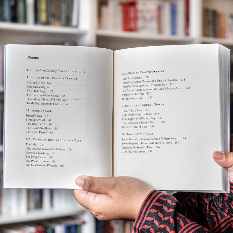 Why Did You Leave the Horse Alone?