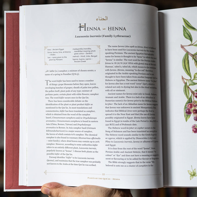 Plants of the Quran: History and Culture