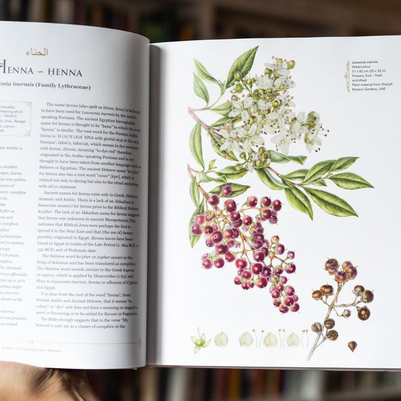 Plants of the Quran: History and Culture