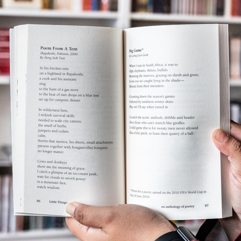 Little Things: An Anthology of Poetry