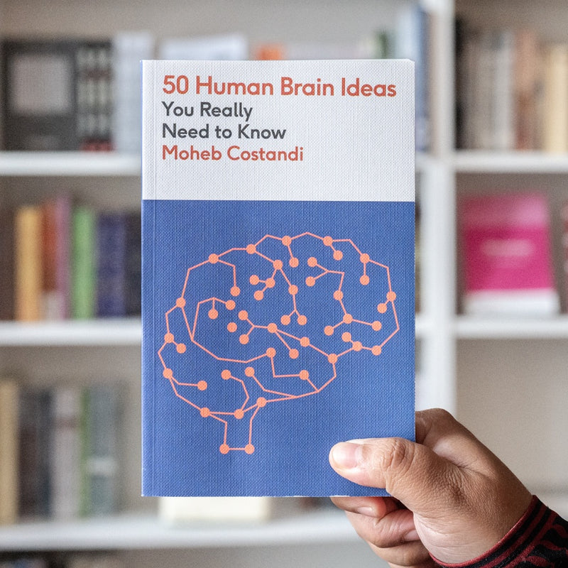 50 Human Brain Ideas You Really Need to Know