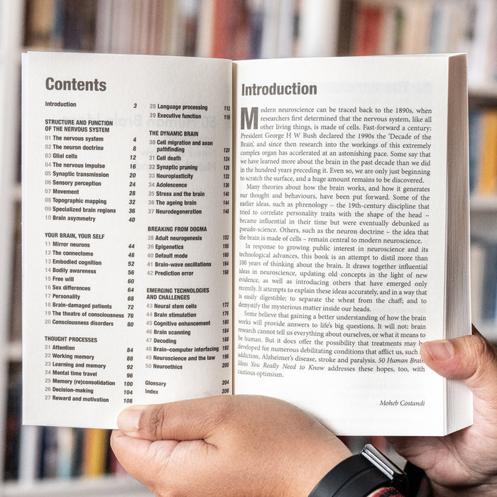 50 Human Brain Ideas You Really Need to Know