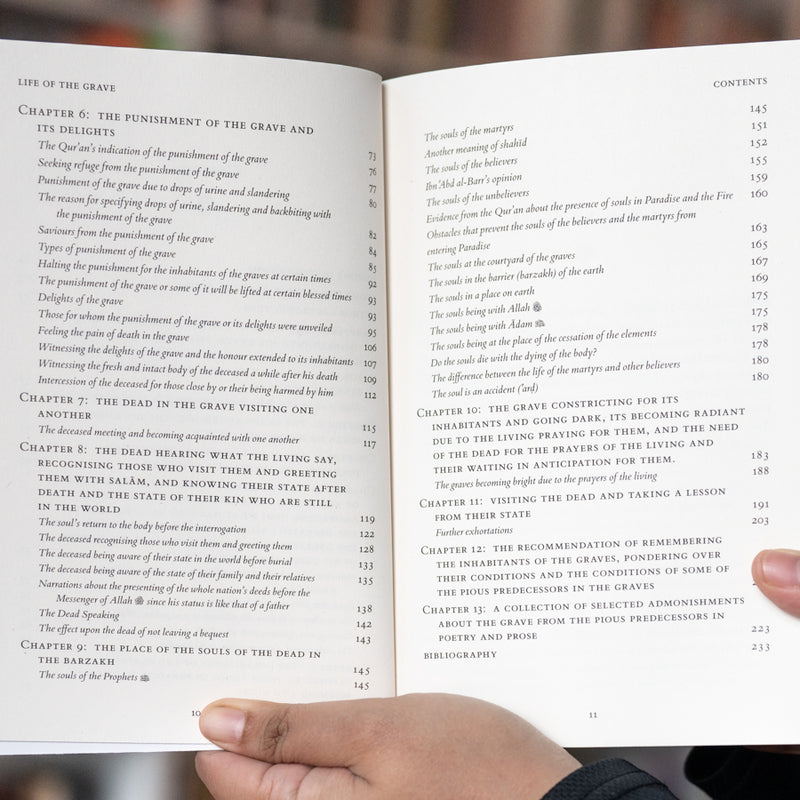 Life of the Grave: Its Delights and Horrors Until Resurrection