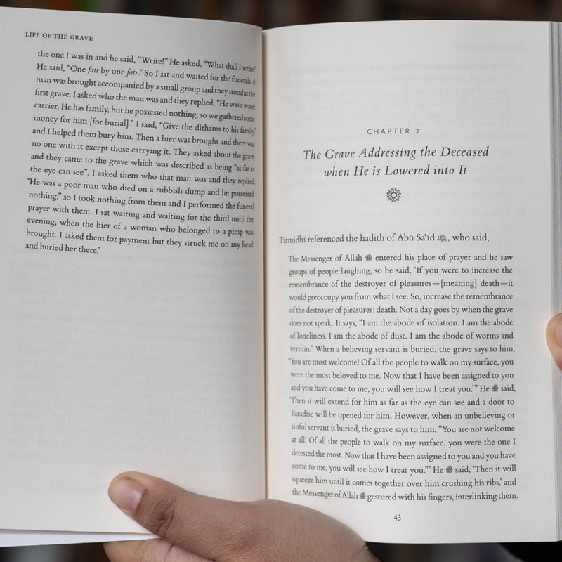 Life of the Grave: Its Delights and Horrors Until Resurrection