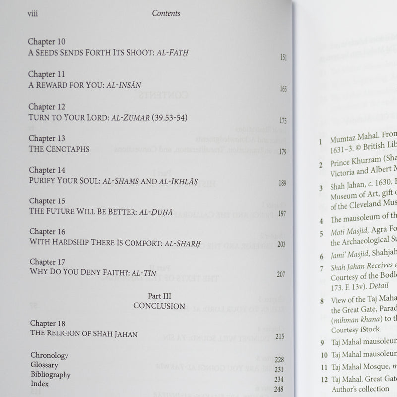 The Language of the Taj Mahal