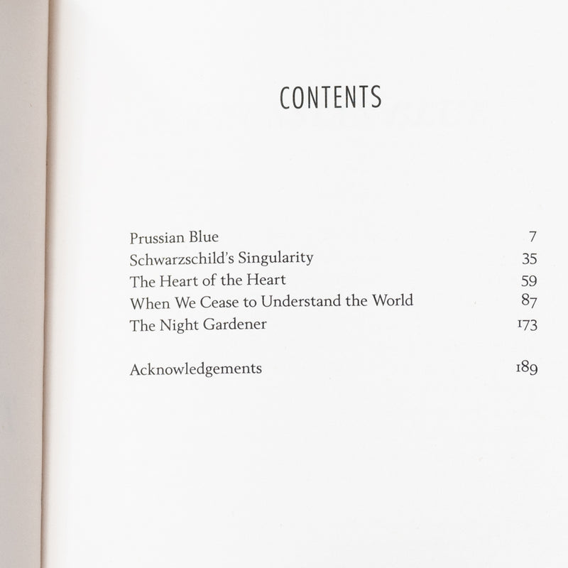 When We Cease to Understand the World