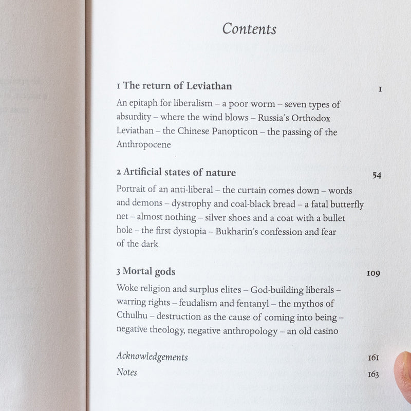 The New Leviathans: Thoughts After Liberalism