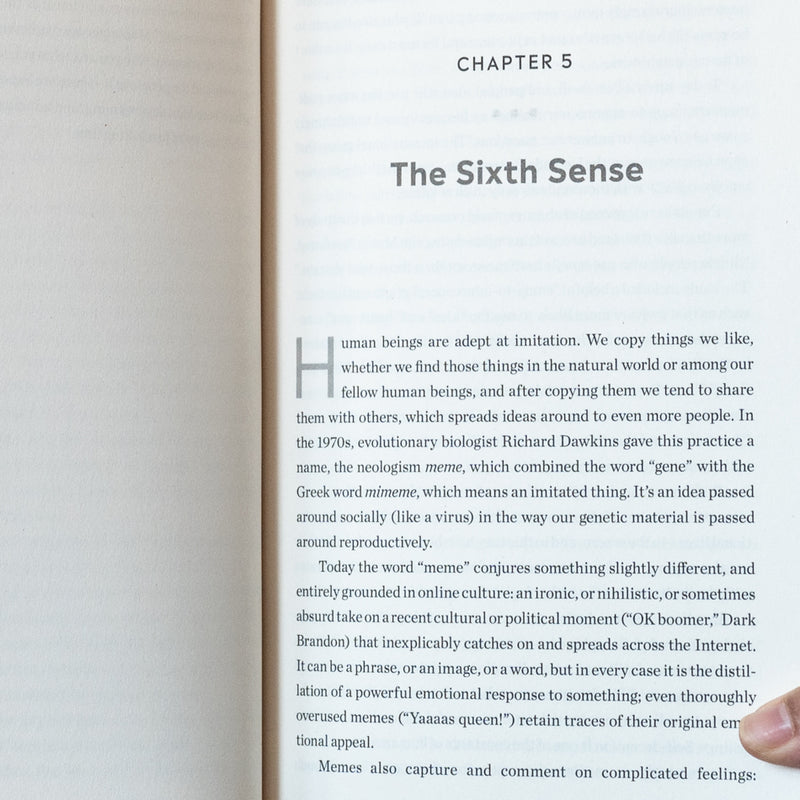 The Extinction of Experience