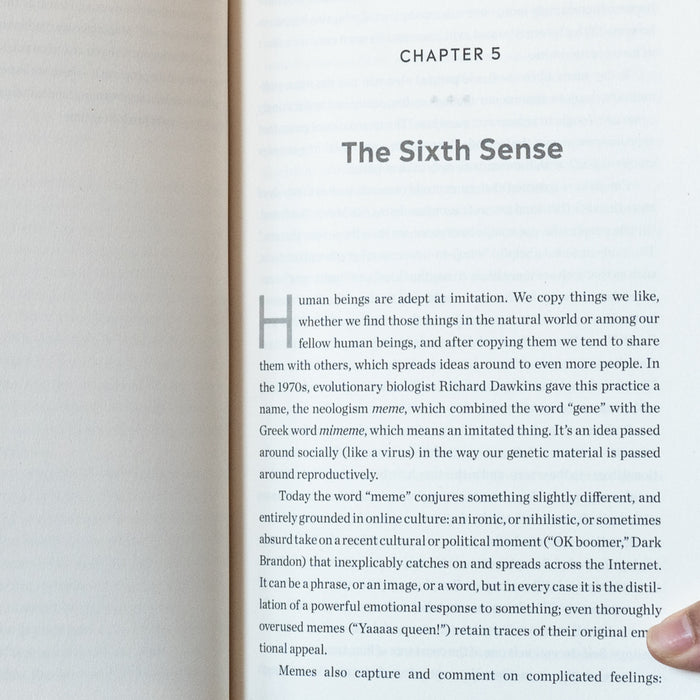 The Extinction of Experience