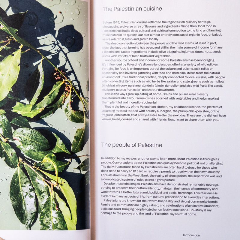 Boustany: A Celebration of Vegetables from my Palestine