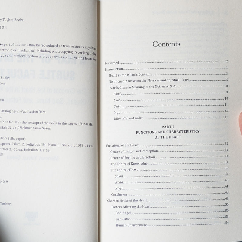 A Map of the Divine Subtle Faculty