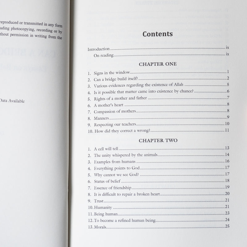 Can a Bridge Build Itself?: Essays on Belief and Moral Values