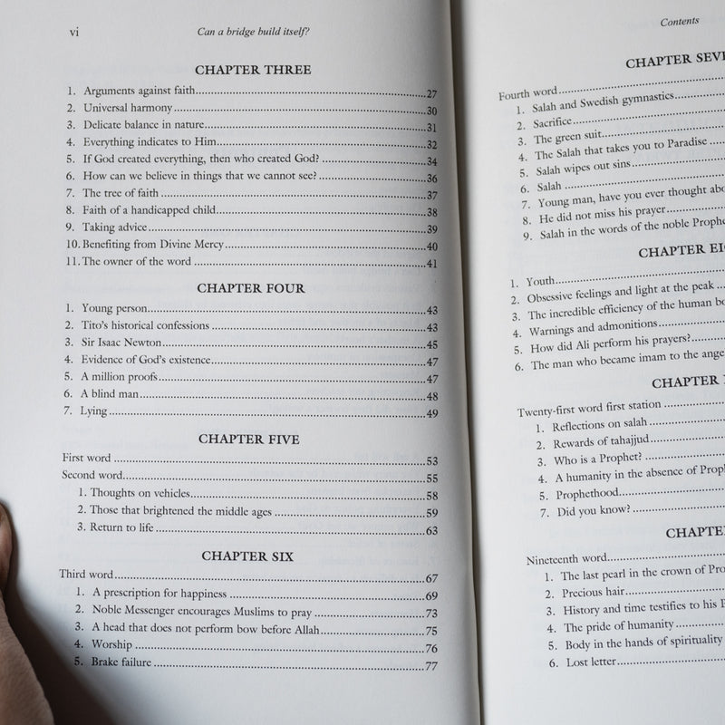 Can a Bridge Build Itself?: Essays on Belief and Moral Values