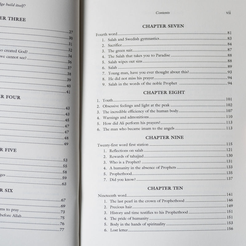 Can a Bridge Build Itself?: Essays on Belief and Moral Values